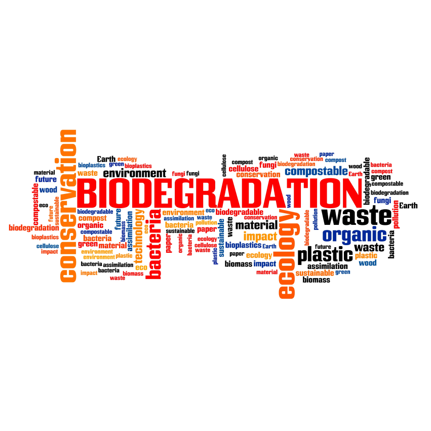 biodegradation poster