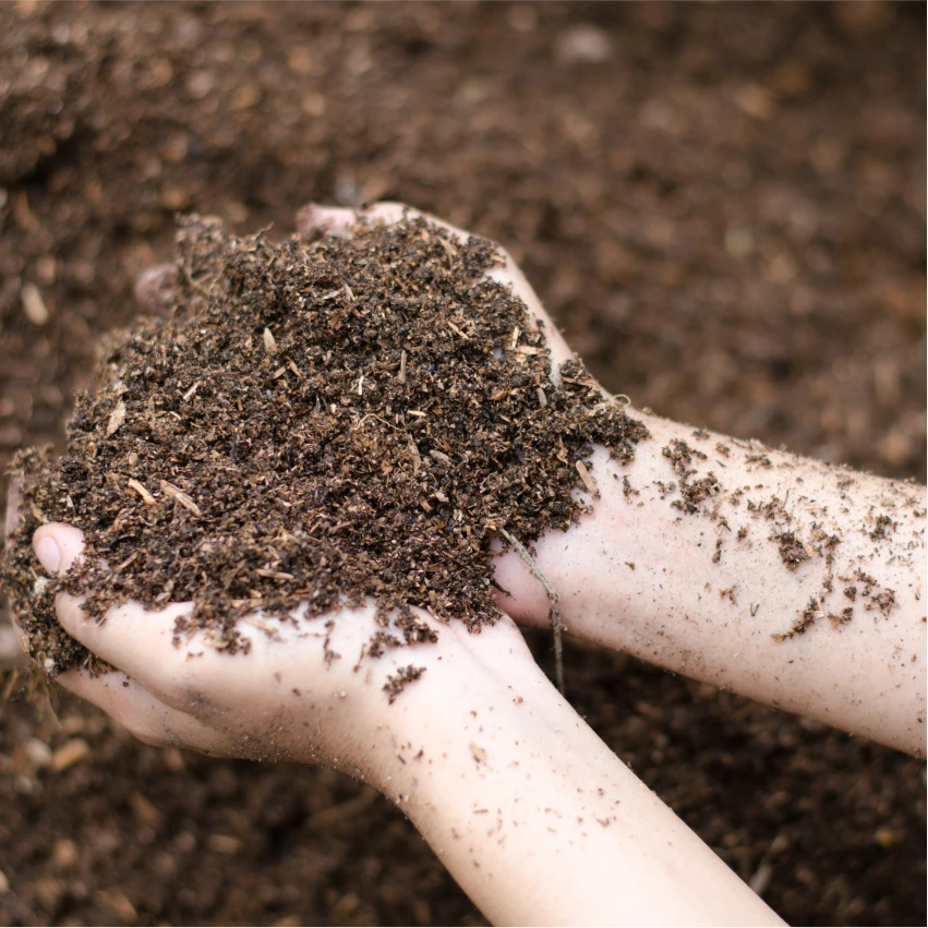 dirt soil earth